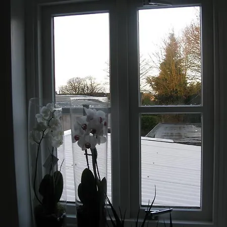 Buon Gusto B&B Bed & Breakfast 3*